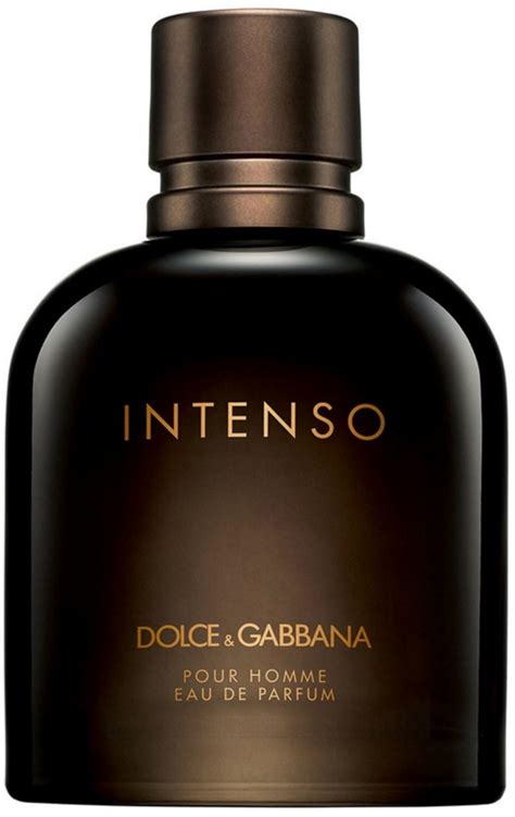 intenso dolce gabbana 200ml|perfume Dolce & Gabbana price.